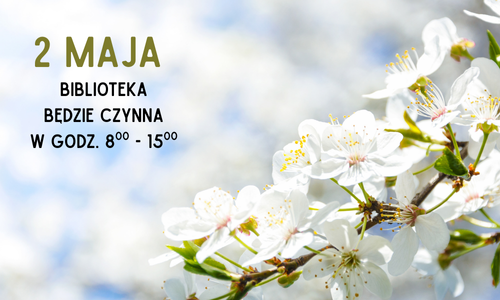 Grafika wprowadzająca