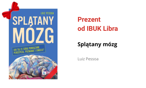 Grafika wprowadzająca