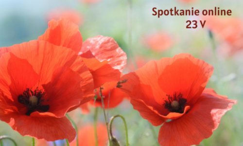 Grafika wprowadzająca