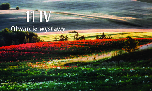 Grafika wprowadzająca